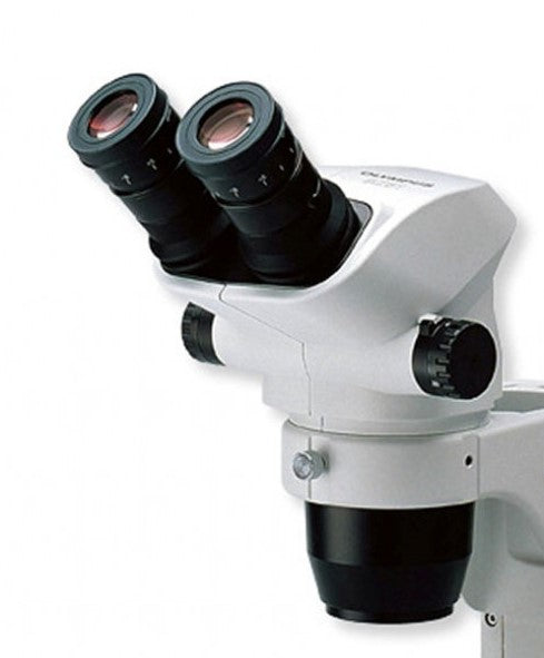 Olympus SZ61 Stereo Head - Binocular