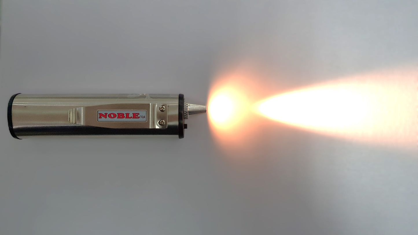 Nobel Torch